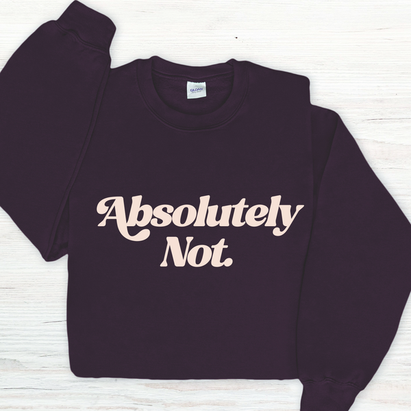 Black sweatshirt with 'Absolutely Not' text on a white background