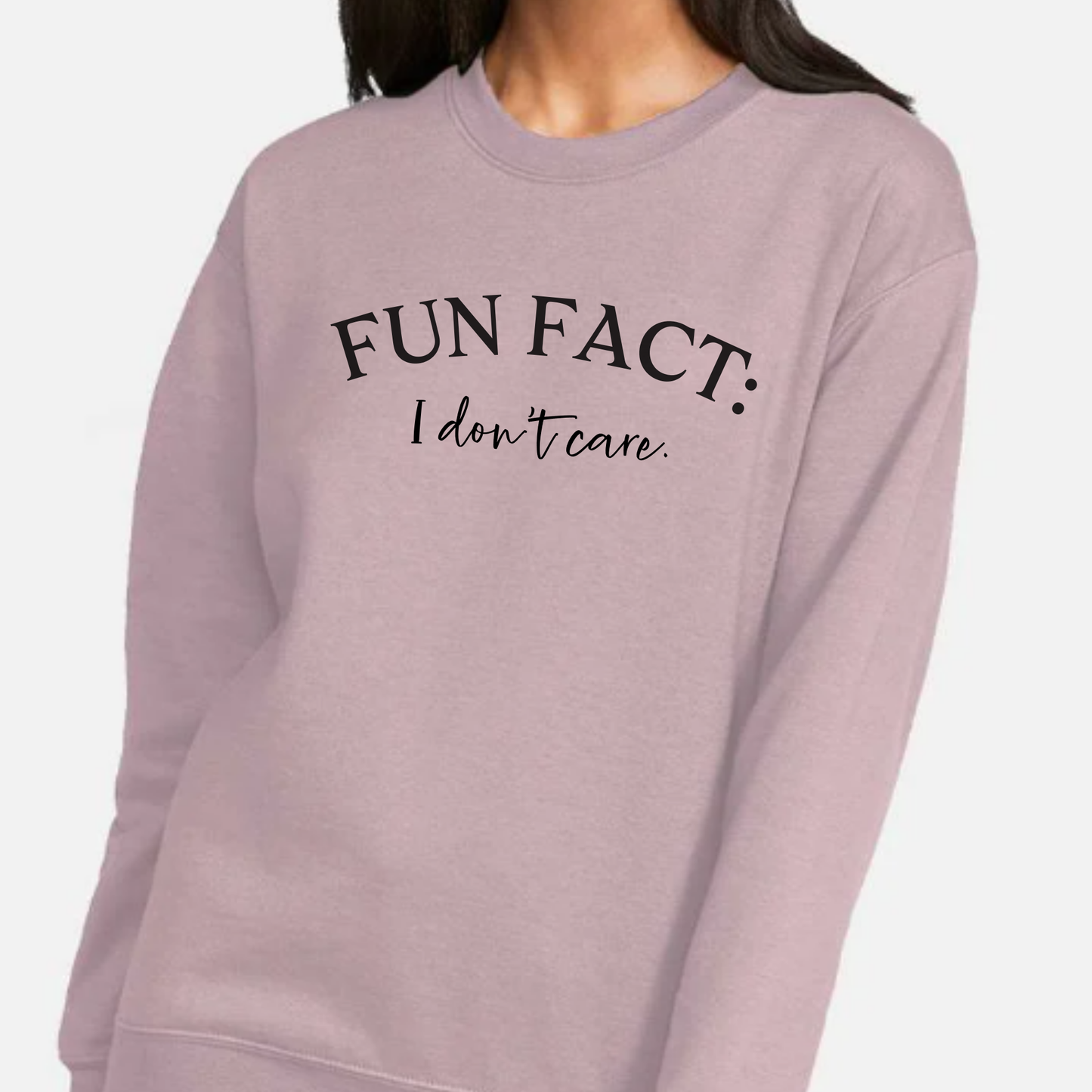 Fun Fact: I Don't Care Sweatshirt