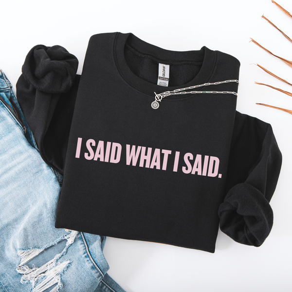 Folded Black sweatshirt with 'I SAID WHAT I SAID.' pink text on a white background