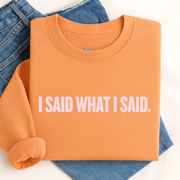 Folded tangerine orange sweatshirt with 'I SAID WHAT I SAID.' text on a white background
