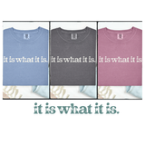 Three t-shirts in blue, gray, and pink with 'it is what it is' text on a white background.